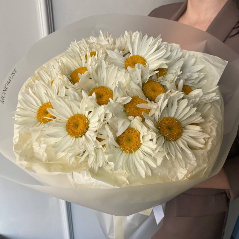 Монобукет из крупных ромашек